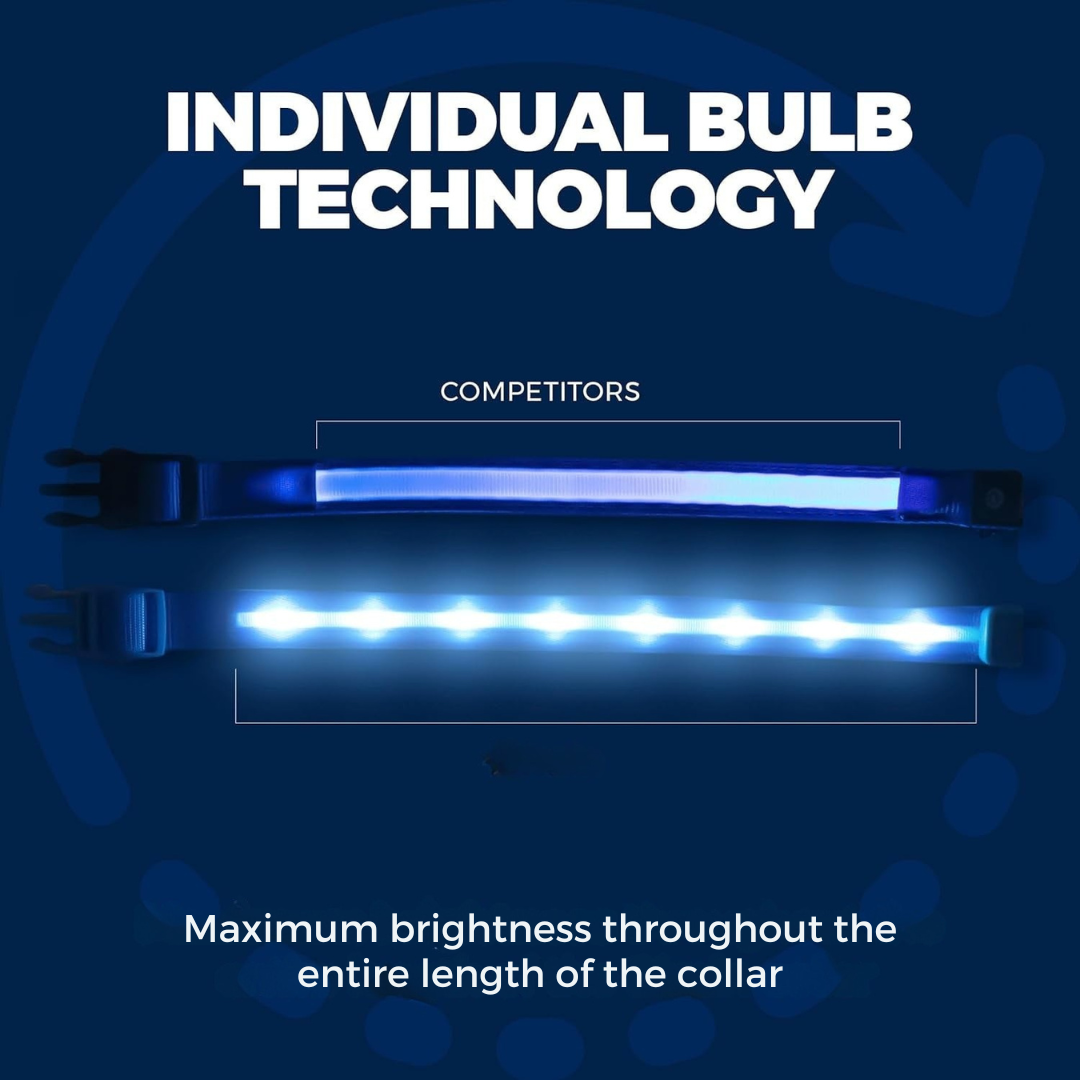 LED Dog Collar