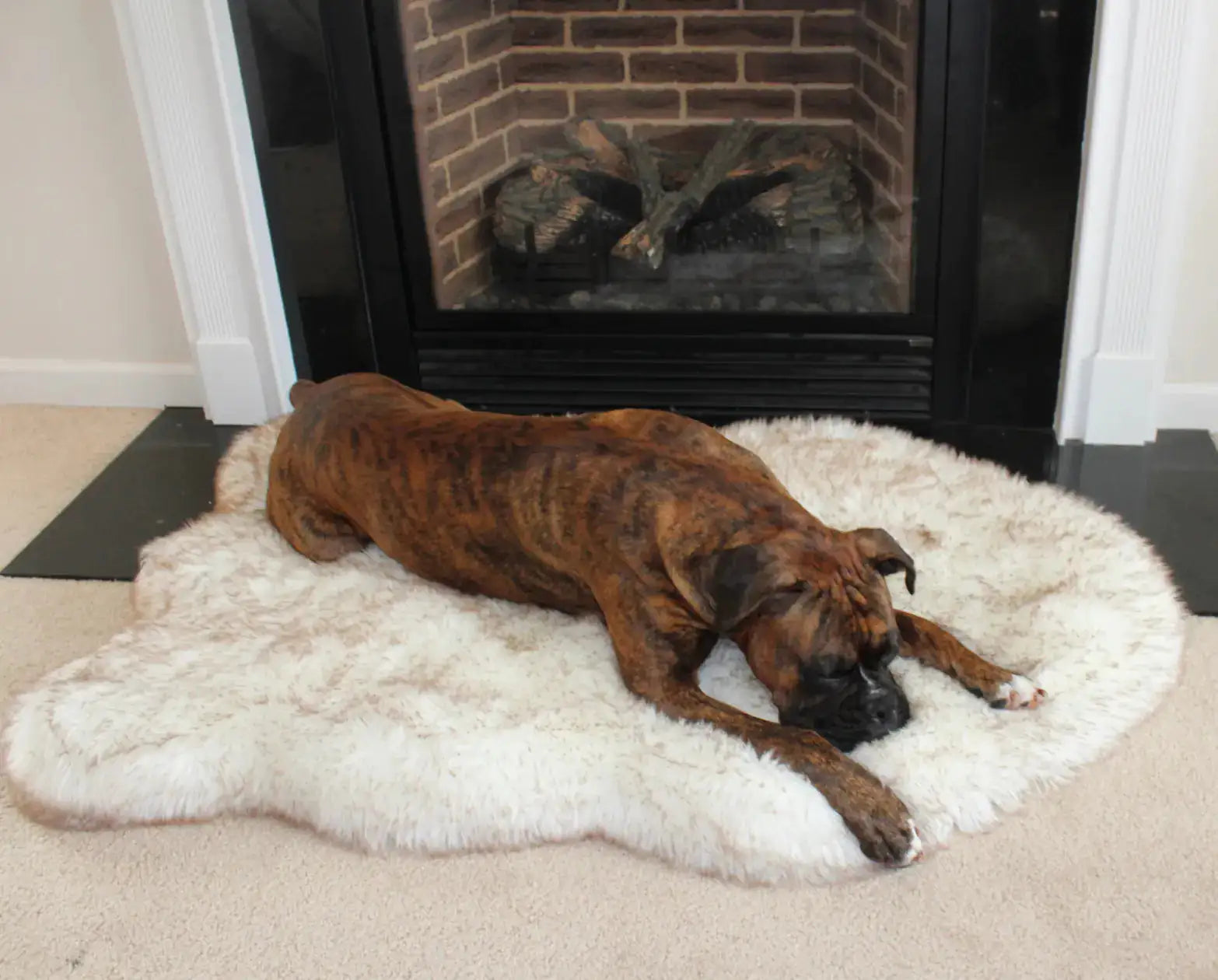 Faux Fur Dog Bed: Ultimate Comfort & Luxury