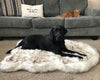 Faux Fur Dog Bed: Ultimate Comfort & Luxury