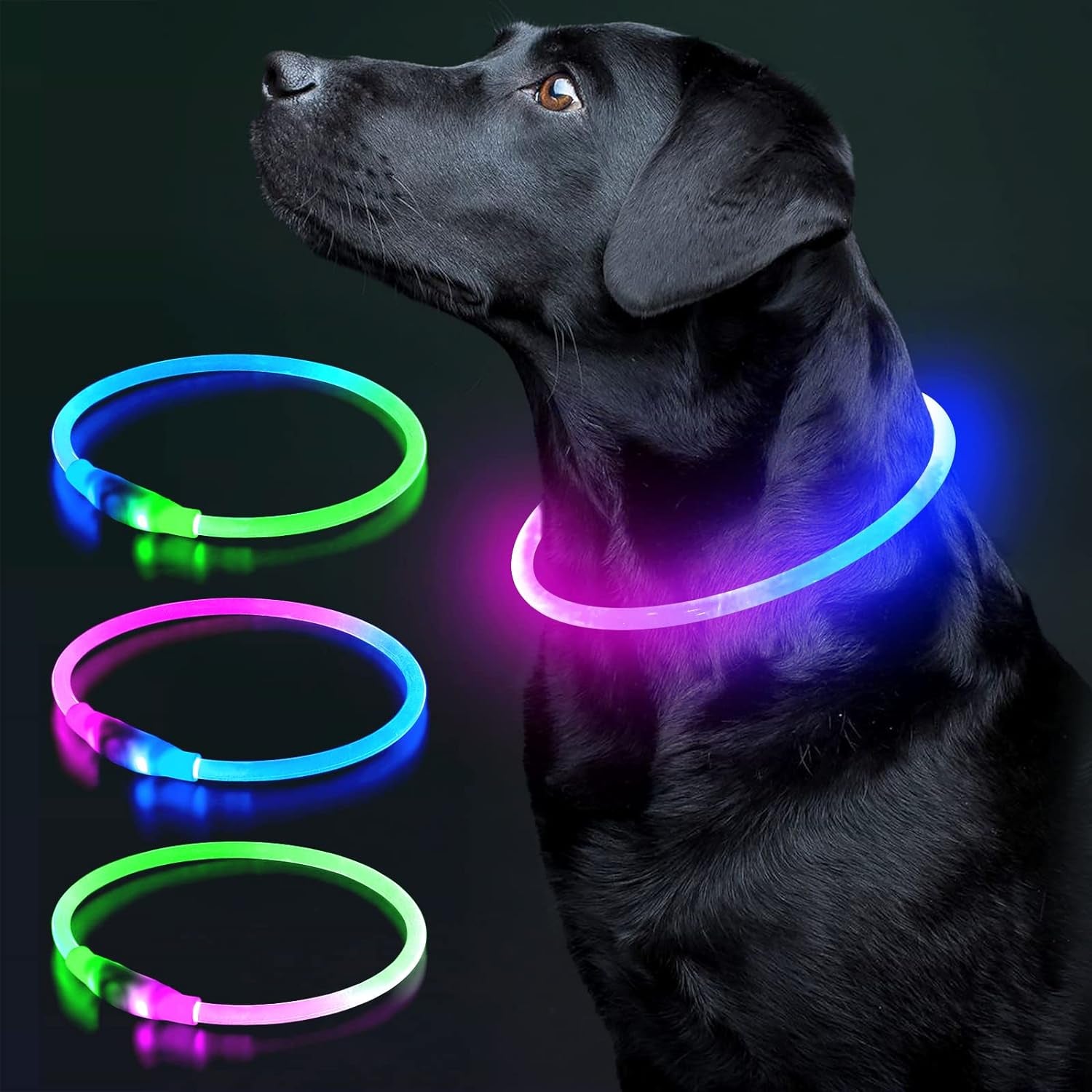 LED Dog Collar Light up Dog Collars 1 Count USB Rechargeable TPU Glow Safety Basic Dog Collars for Large Medium Small Dogs (Cyan)