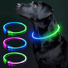 LED Dog Collar Light up Dog Collars 1 Count USB Rechargeable TPU Glow Safety Basic Dog Collars for Large Medium Small Dogs (Cyan)