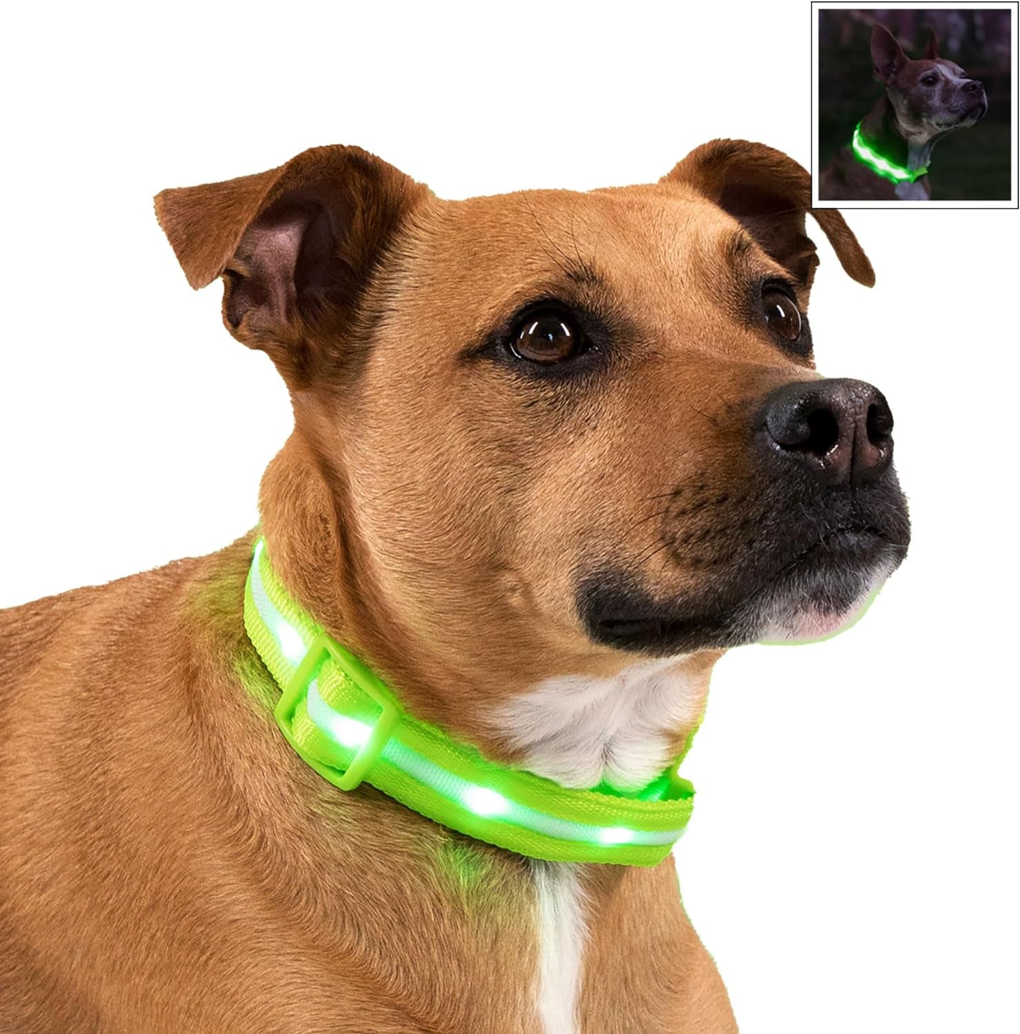 Brightest Light up Dog Collars - the Original LED Dog Collar with 1,000 Feet of Visibility - USB Rechargeable Waterproof Dog Collar Light - Dog Lights for Night Walking - USA Brand