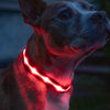 LED Dog Collar 