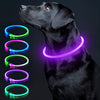 LED Dog Collar Light up Dog Collars 1 Count USB Rechargeable TPU Glow Safety Basic Dog Collars for Large Medium Small Dogs (Cyan)