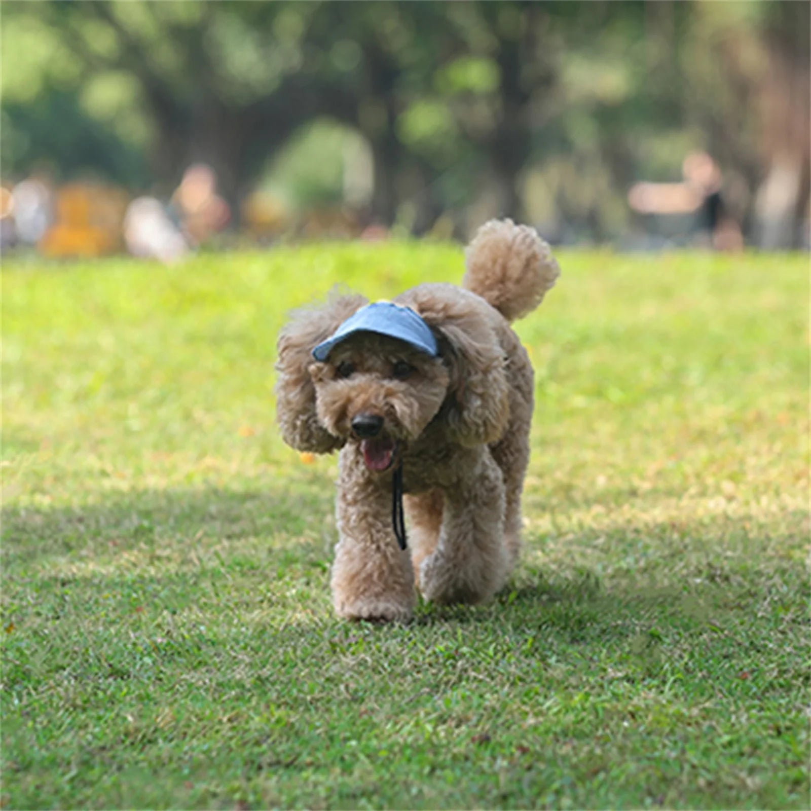 Cute Pet Cap - Sun Cap - Sports Cap