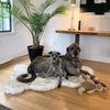 Faux Fur Dog Bed: Ultimate Comfort & Luxury