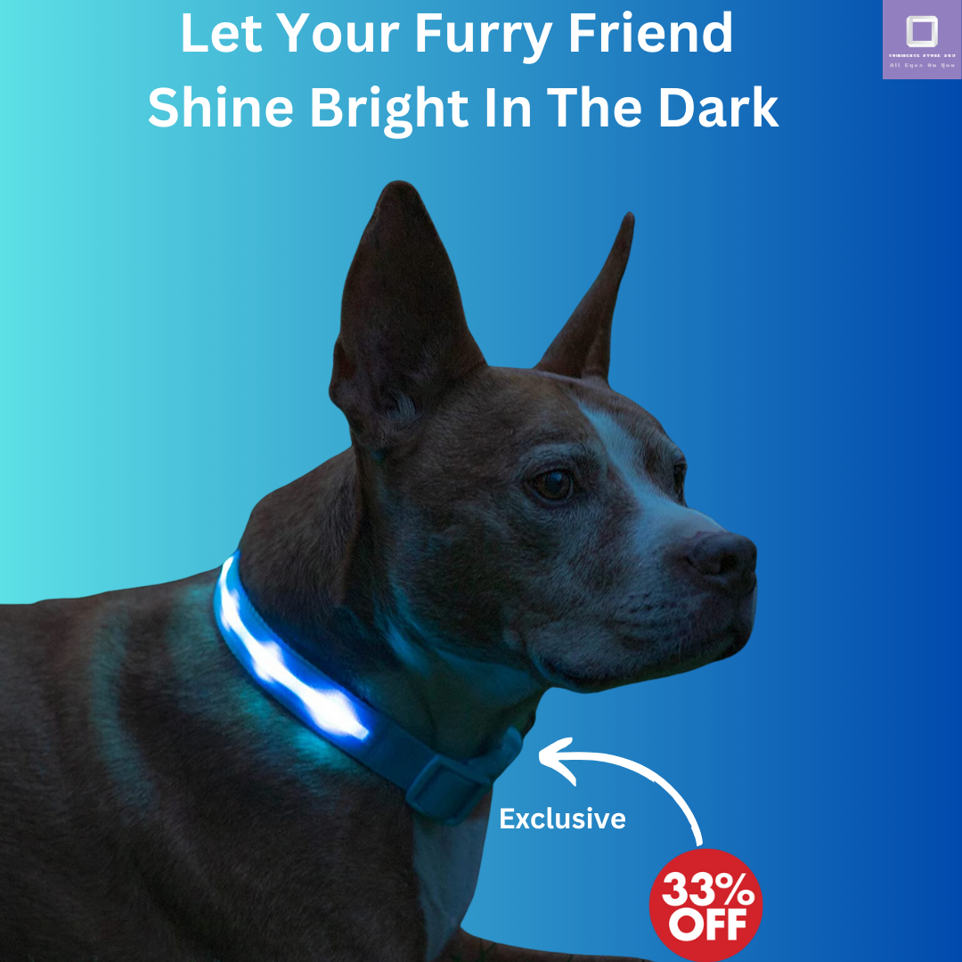 LED Dog Collar