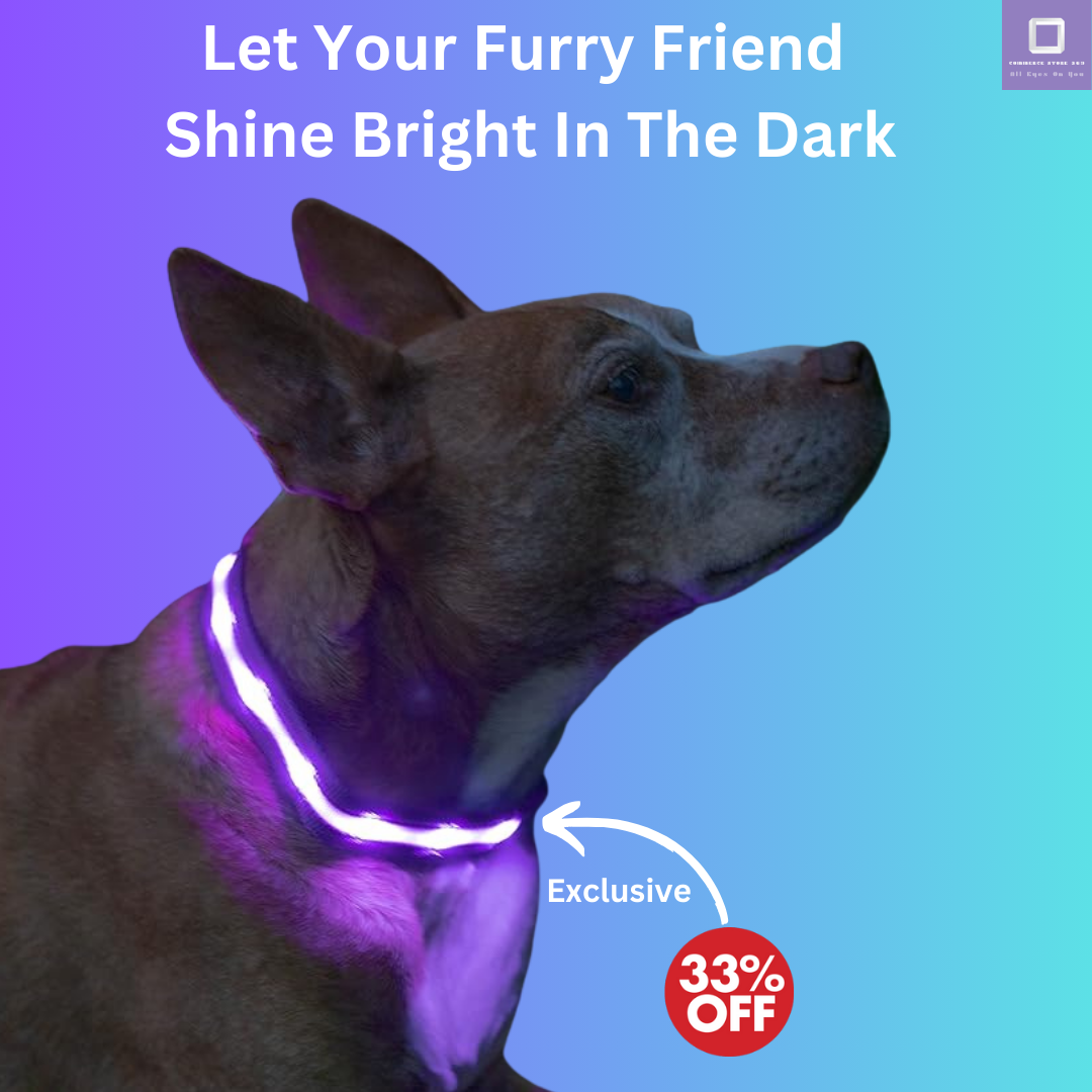 LED Dog Collar