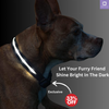 LED Dog Collar