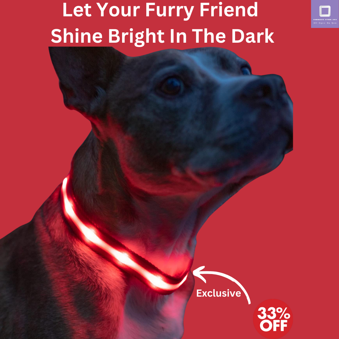 LED Dog Collar