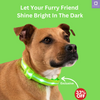 LED Dog Collar