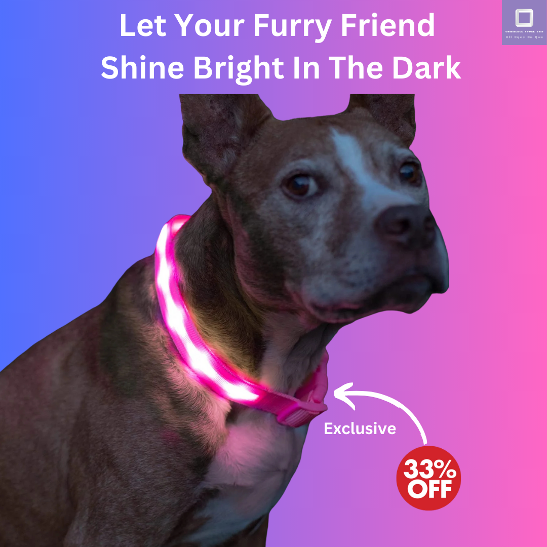 LED Dog Collar