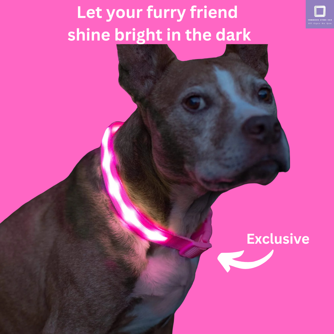 LED Dog Collar