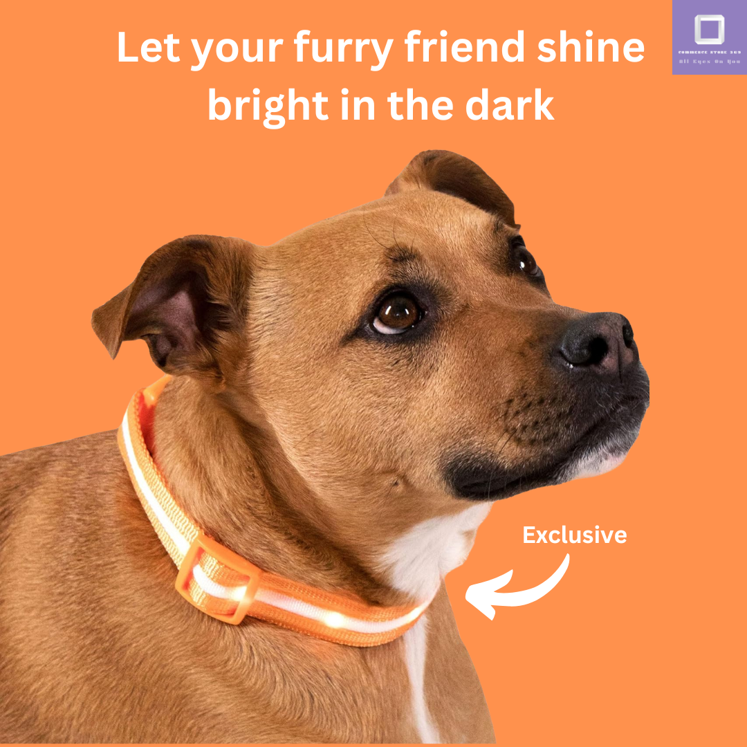 LED Dog Collar