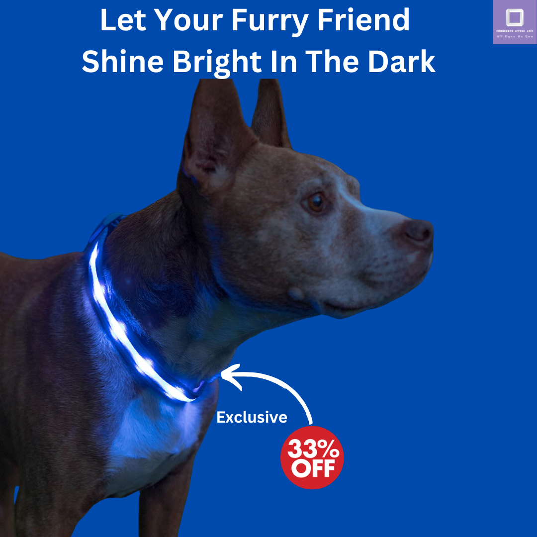 LED Dog Collar