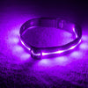 LED Dog Collar 