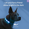 LED Dog Collar