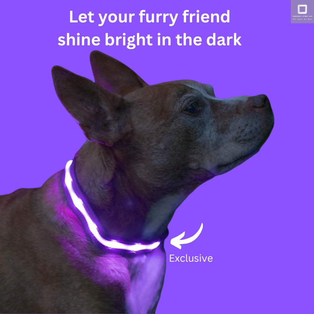 LED Dog Collar